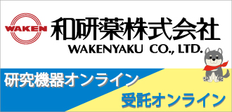 和研薬株式会社
